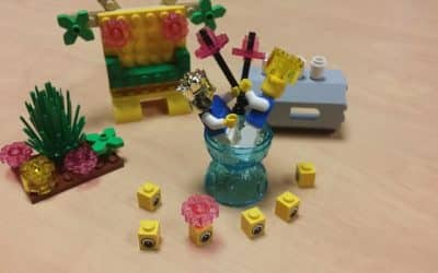 Bilan d&rsquo;une année d&rsquo;accompagnement d&rsquo;équipe