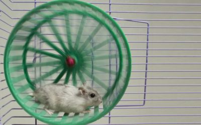 Envie d&rsquo;être plus vous-même ?