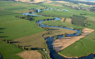 La culture d’entreprise, c’est quoi ?