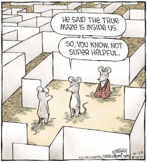 The Maze is Inside The Unspoken Truths of Change: Why Awareness and Complexity Are the Real Frontiers