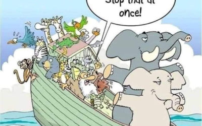 L&rsquo;accompagnement par l&rsquo;approche systémique