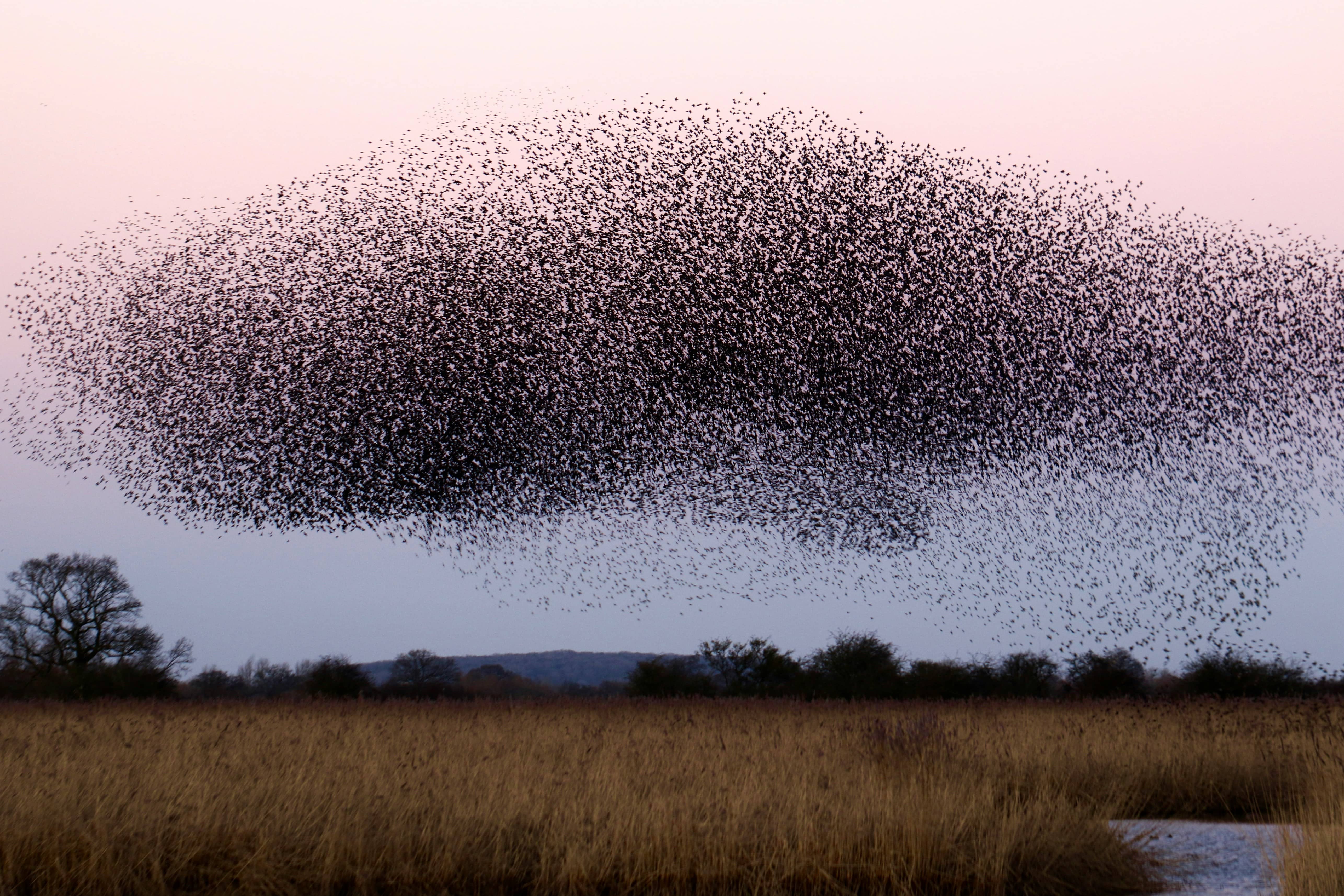 james-wainscoat-b7MZ6iGIoSI-unsplash organisational transformation and leadership credit: james wainscoat