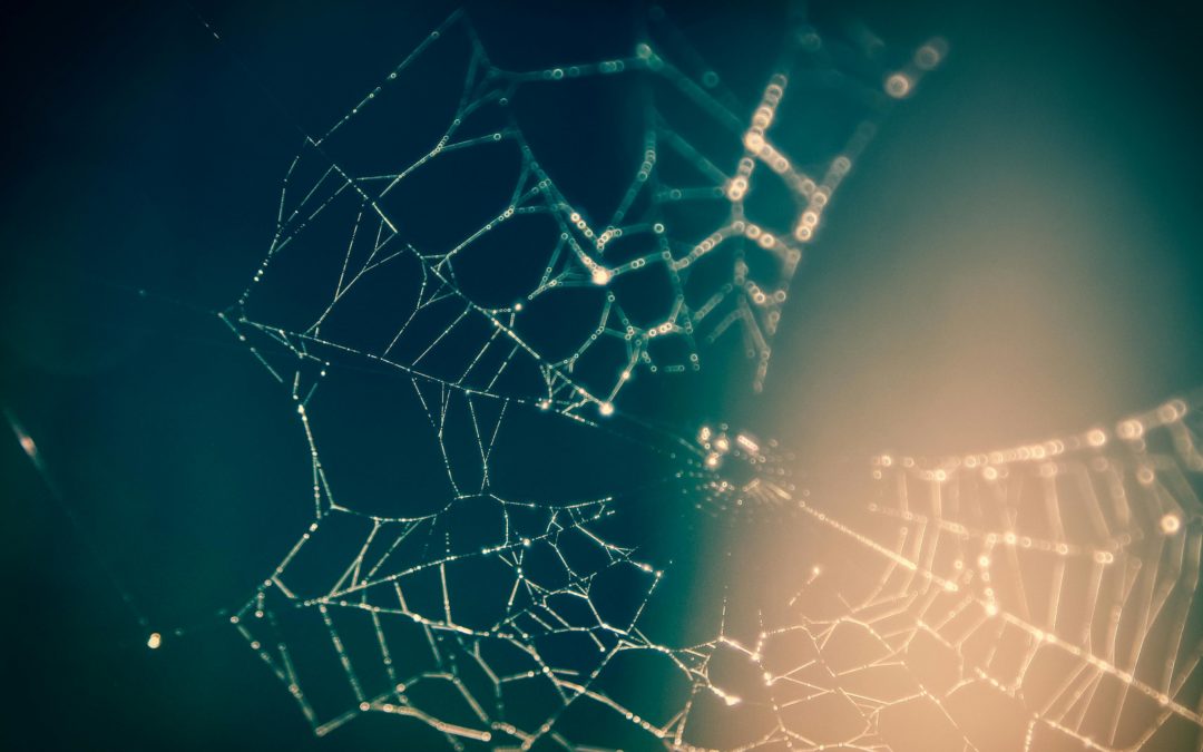 La limite de compétences ou le syndrome du super-héros en consulting