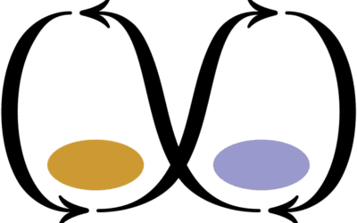 The Brain’s Secret Superpower in Business : polarities!