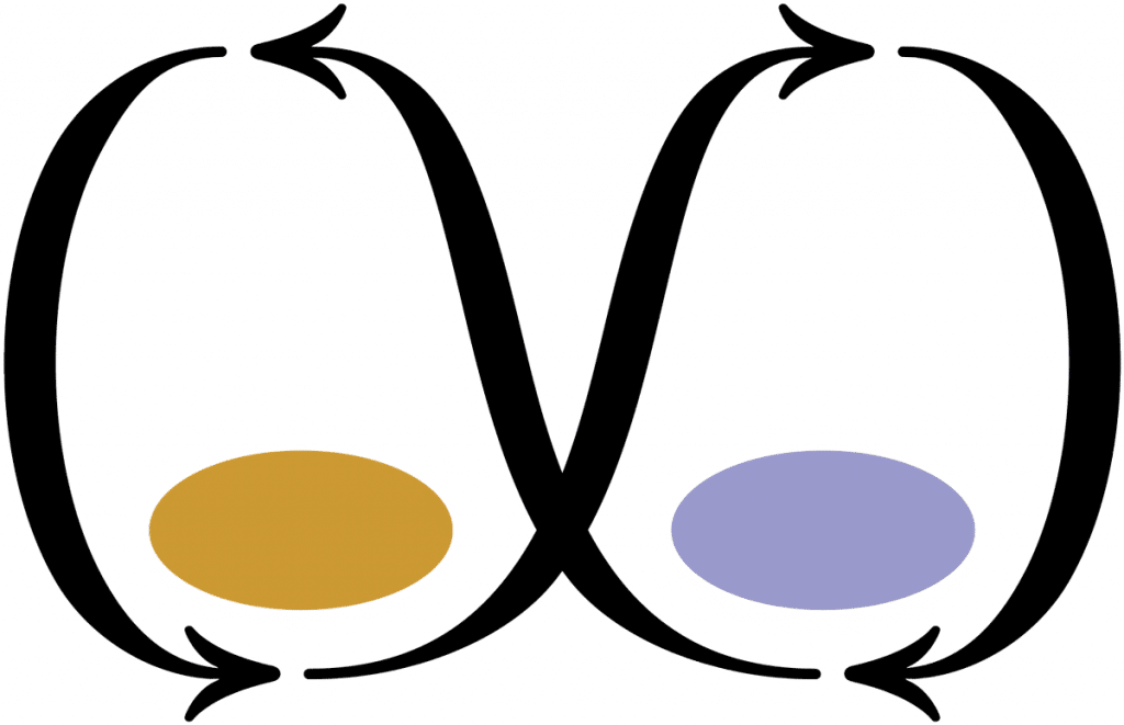 The Brain’s Secret Superpower in Business : polarities!