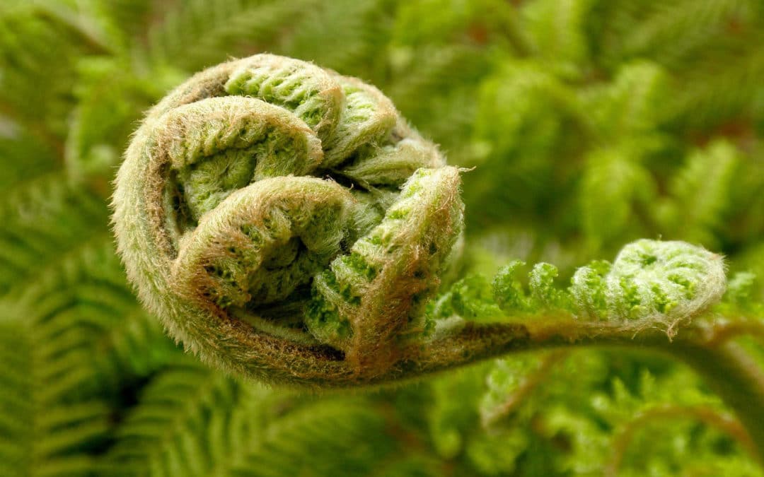 Is Your Culture Keeping Up? The 5 Make-or-Break Stages of Organisational Growth