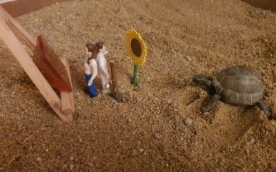 La formation continue pour accompagner le changement