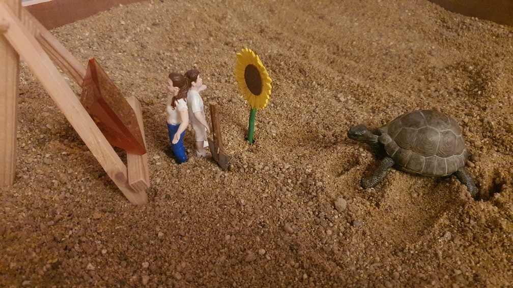 Continuing education